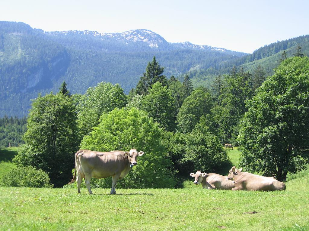 Bauernhof Haim-Schnepfleitner Pichl bei Aussee Exterior foto